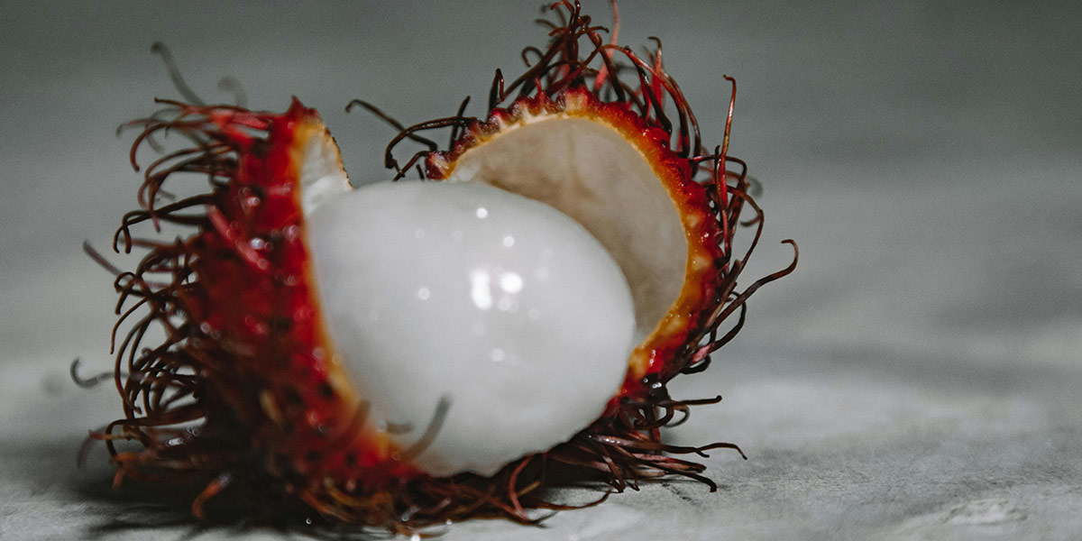 Alla scoperta del rambutan